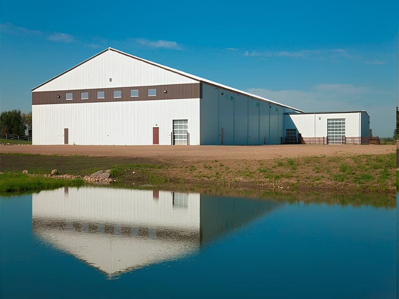 Steel Frame Industrial Building