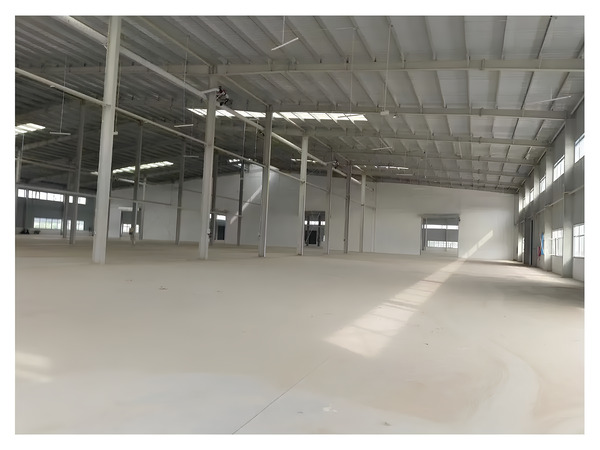 Steel Structure Warehouse Building